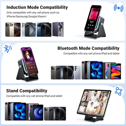 Wireless Induction Bluetooth Speaker