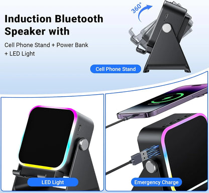 Wireless Induction Bluetooth Speaker