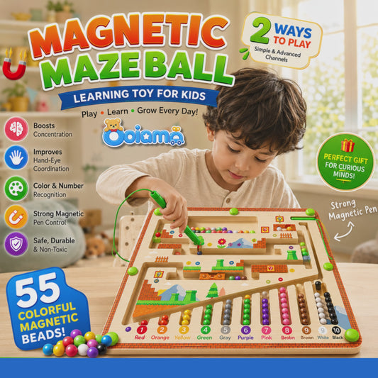 Magnetic Maze Ball Game Board